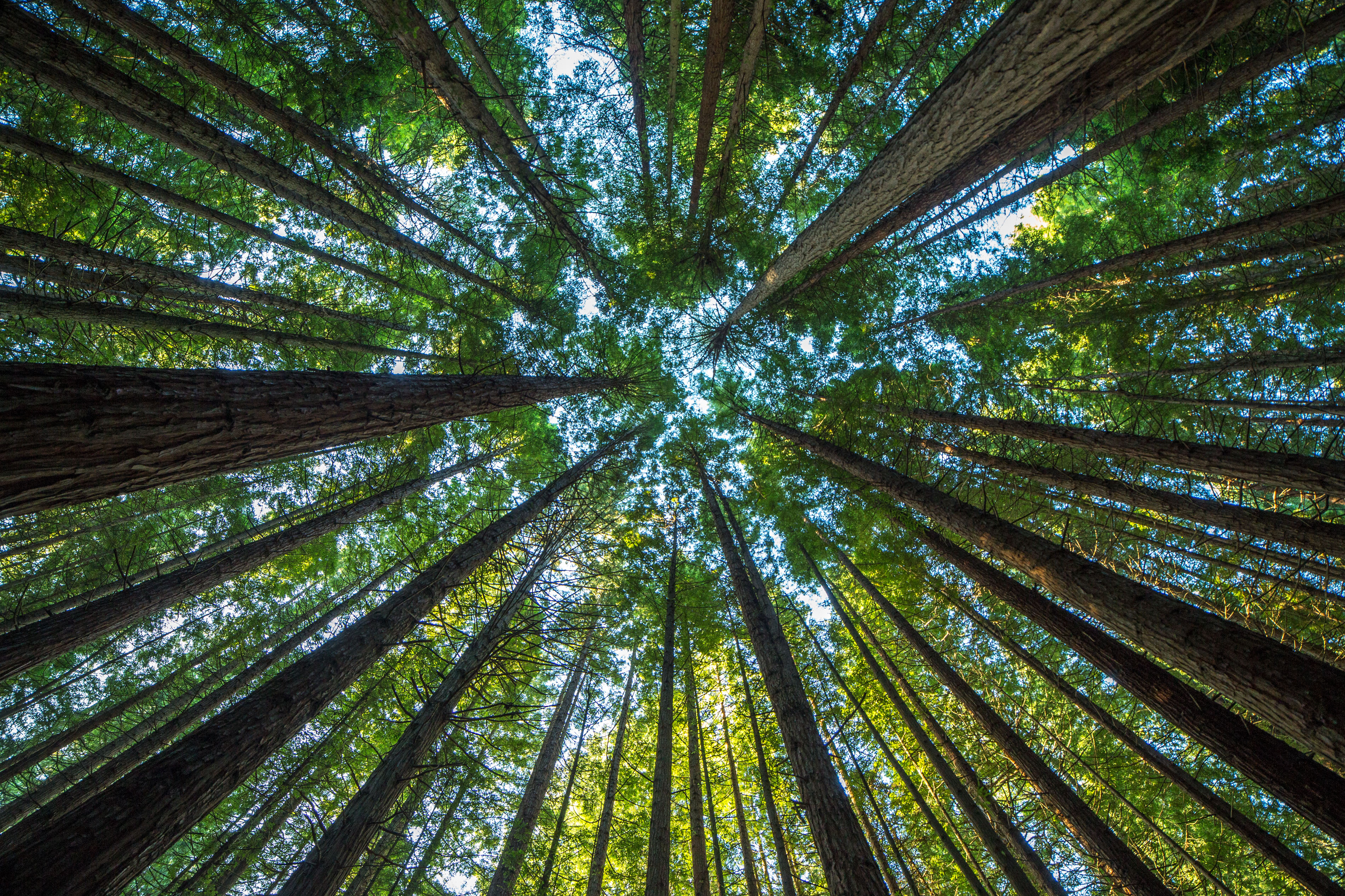 Landmark moment in New Zealand’s transition to a low-emissions future  