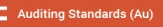 Auditing icon